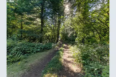 4384 NE Crooked Finger Rd, Scotts Mills, OR 97375 - Photo 36