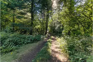 4384 NE Crooked Finger Rd, Scotts Mills, OR 97375 - Photo 36