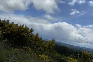13507 NW Ford Rd, Gaston, OR 97119 - Photo 18