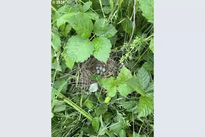 13507 NW Ford Rd, Gaston, OR 97119 - Photo 14