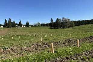 13507 NW Ford Rd, Gaston, OR 97119 - Photo 14