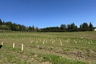 13507 NW Ford Rd, Gaston, OR 97119 - Photo 4