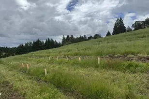 13507 NW Ford Rd, Gaston, OR 97119 - Photo 16