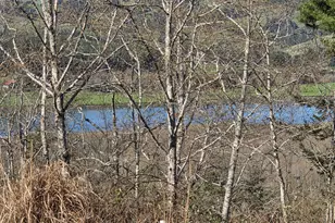 30235 Eagleview Dr, Gold Beach, OR 97444 - Photo 4