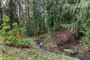 3101 Ammons Dr, Longview, WA 98632 - Photo 32