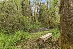 93537 Deadwood Creek Rd, Deadwood, OR 97430 - Photo 10