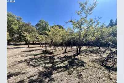 617 Poison Oak Dr, Winston, OR 97496 - Photo 32