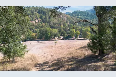 617 Poison Oak Dr, Winston, OR 97496 - Photo 14