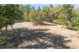617 Poison Oak Dr, Winston, OR 97496 - Photo 12