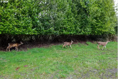 62885 Isthmus Heights Rd, Coos Bay, OR 97420 - Photo 4