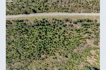 Ne 94 St #41, Camas, WA 98607 - Photo 20