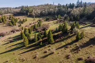 481 Strader Rd, Roseburg, OR 97470 - Photo 42