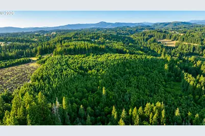 0 Finalburg Rd, La Center, WA 98629 - Photo 4