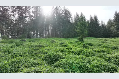0 Finalburg Rd, La Center, WA 98629 - Photo 20