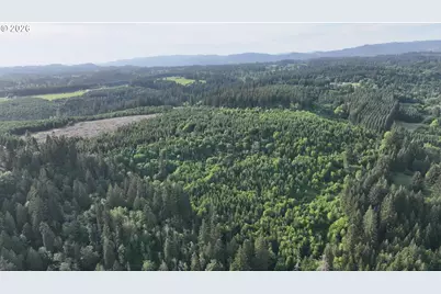 0 Finalburg Rd, La Center, WA 98629 - Photo 12