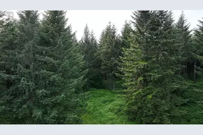 0 Finalburg Rd, La Center, WA 98629 - Photo 28