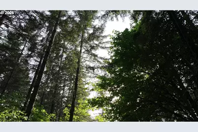 0 Finalburg Rd, La Center, WA 98629 - Photo 16