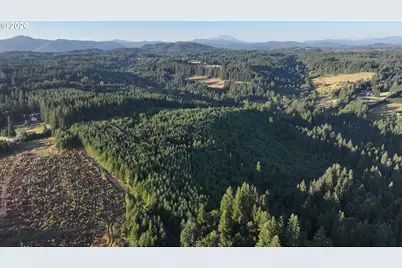 0 Finalburg Rd, La Center, WA 98629 - Photo 34