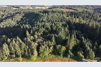 0 Finalburg Rd, La Center, WA 98629 - Photo 30