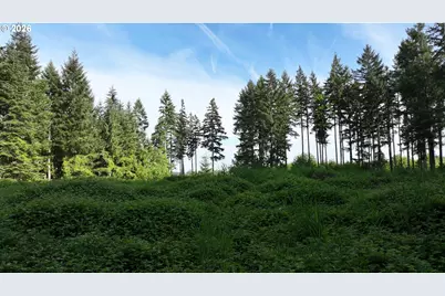 0 Finalburg Rd, La Center, WA 98629 - Photo 10