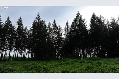 0 Finalburg Rd, La Center, WA 98629 - Photo 22