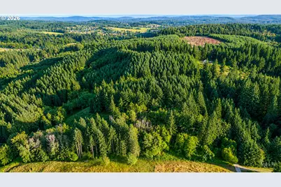 0 Finalburg Rd, La Center, WA 98629 - Photo 6