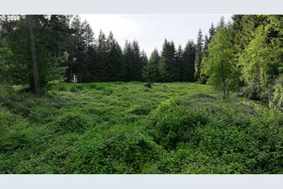 0 Finalburg Rd, La Center, WA 98629 - Photo 18