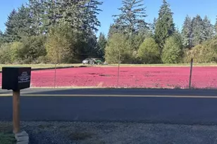 89123 Dellmoor Loop, Warrenton, OR 97146 - Photo 18