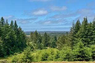45721 Hwy 101, Langlois, OR 97450 - Photo 8