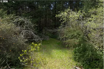 57490 Randolph Rd, Bandon, OR 97411 - Photo 42