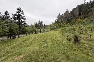 1500 Bar L Ranch Rd, Glide, OR 97443 - Photo 20