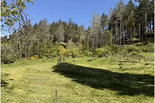 1500 Bar L Ranch Rd, Glide, OR 97443 - Photo 6