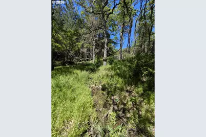 41 Mountain View Rd, Lyle, WA 98635 - Photo 16