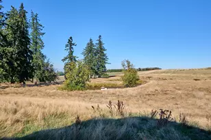 1060 Silver Falls Dr NE, Silverton, OR 97381 - Photo 24