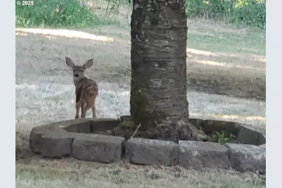 753 Albert Ave, Glendale, OR 97442 - Photo 48