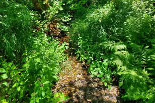 753 Albert Ave, Glendale, OR 97442 - Photo 36