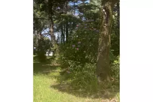 88675 Whiting Ln, Bandon, OR 97411 - Photo 44