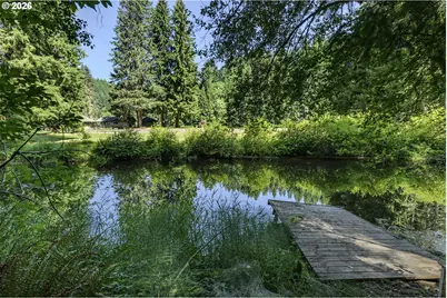 9947 Beach Dr, Birkenfeld, OR 97016 - Photo 34