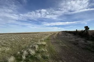 Ferguson Rd, Bickleton, WA 99322 - Photo 46