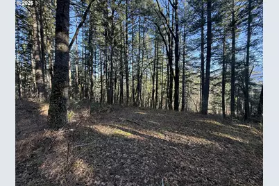 Seward Rd, Carson, WA 98610 - Photo 8