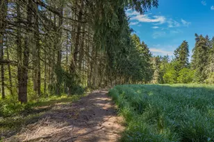 7734 SE Starr Quarry Rd, Amity, OR 97101 - Photo 34