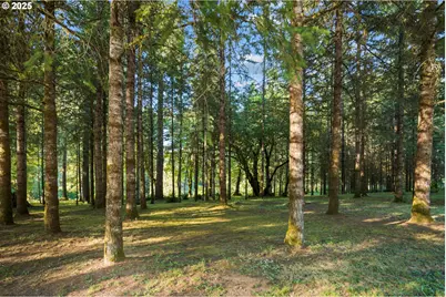 13706 NE River Bend Dr, Battle Ground, WA 98604 - Photo 32