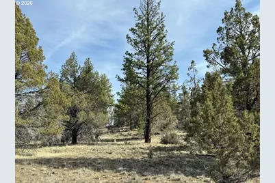 Yellow Jacket Spring Rd #1100, Beatty, OR 97621 - Photo 18