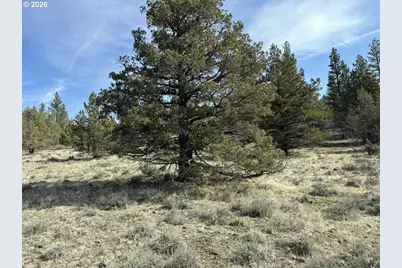 Yellow Jacket Spring Rd #1100, Beatty, OR 97621 - Photo 4