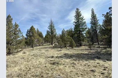 Yellow Jacket Spring Rd #1100, Beatty, OR 97621 - Photo 12