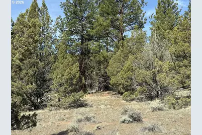 Yellow Jacket Spring Rd #1100, Beatty, OR 97621 - Photo 1