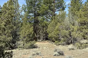 Yellow Jacket Spring Rd, Beatty, OR 97621 - Photo 1