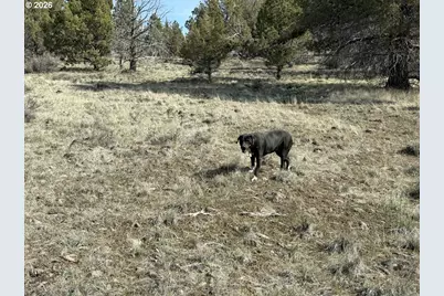 Yellow Jacket Spring Rd #1100, Beatty, OR 97621 - Photo 24
