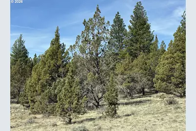 Yellow Jacket Spring Rd #1100, Beatty, OR 97621 - Photo 28