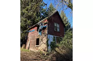 995 Parry Rd, Falls City, OR 97344 - Photo 1